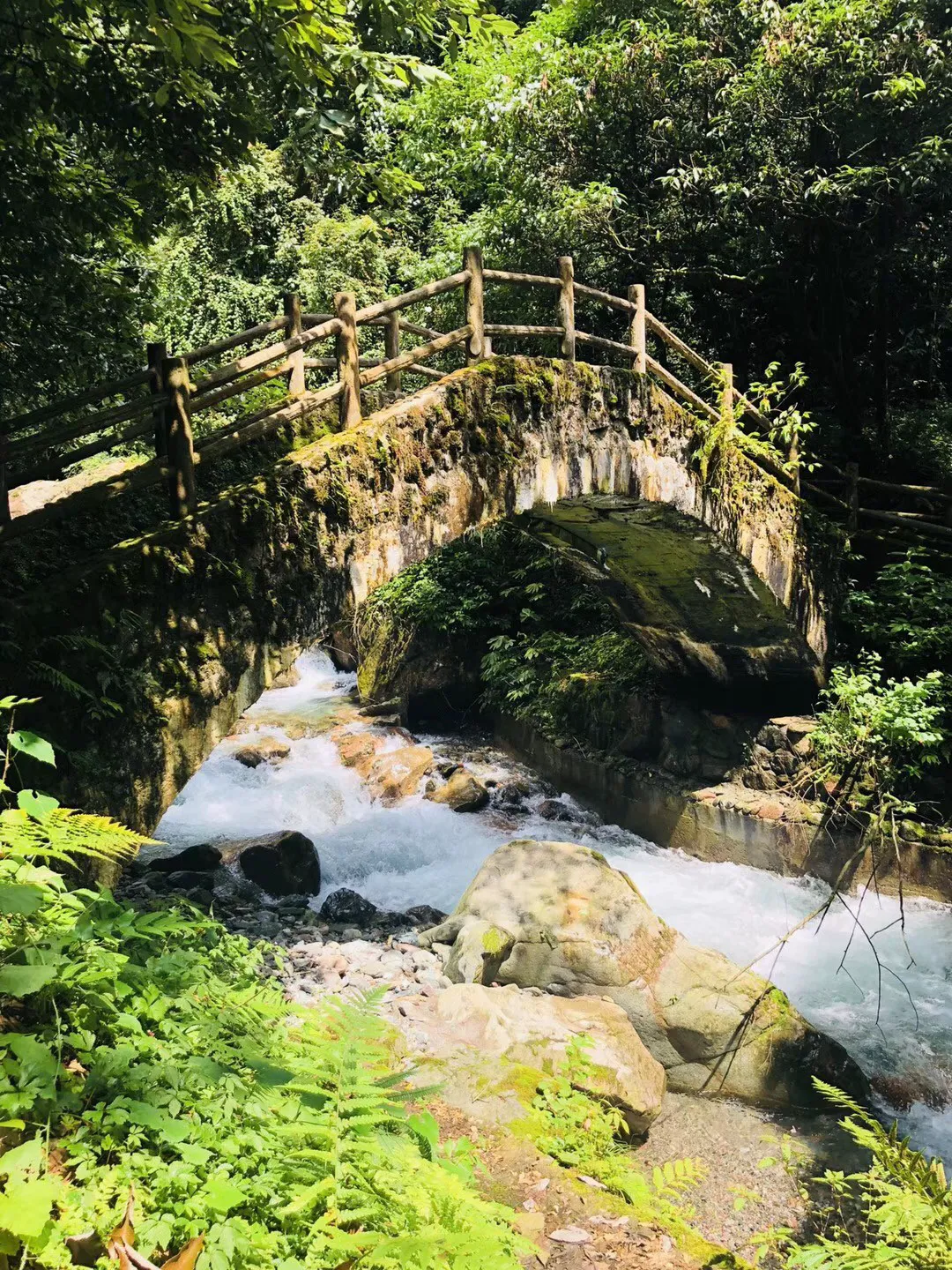 单间木屋逃脱
